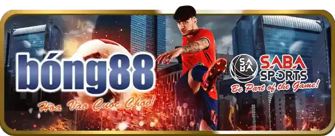 Quy tắc cá cược thể thao G168